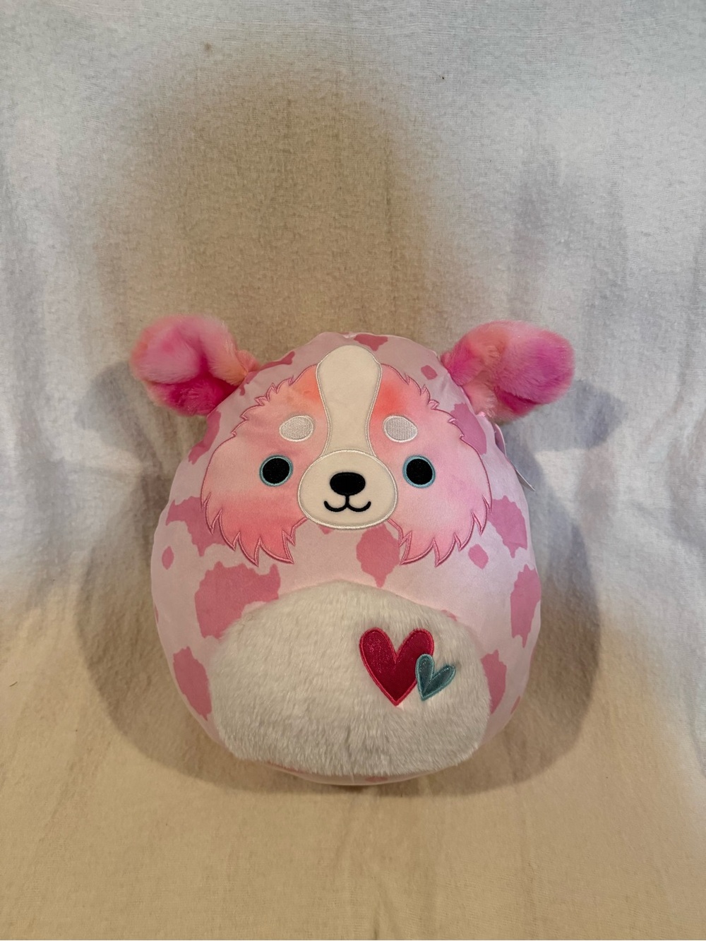 Magnis the dog squishmallow